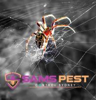 SAMS Spider Control Sydney image 9